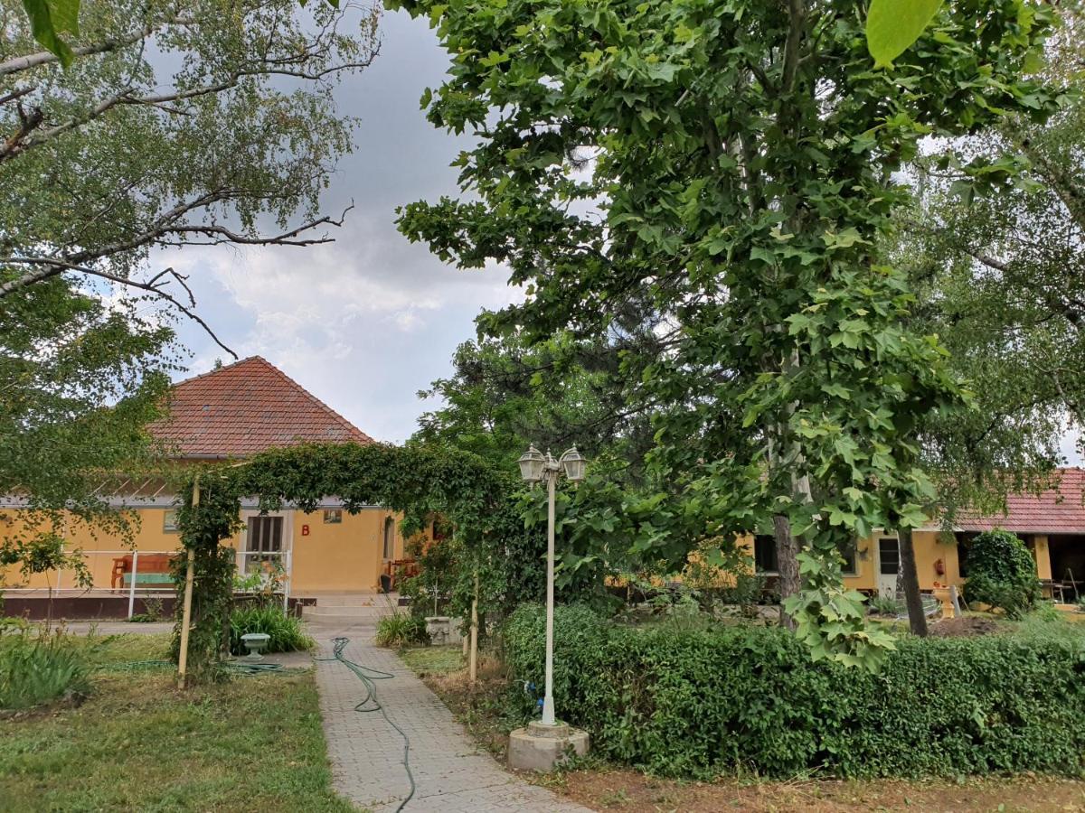 Platán Szálláshely Sándorfalva Esterno foto